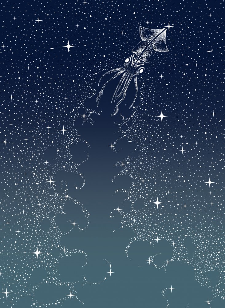 A Ascensão da Lula Celestial de Alirıza ÇAKIR