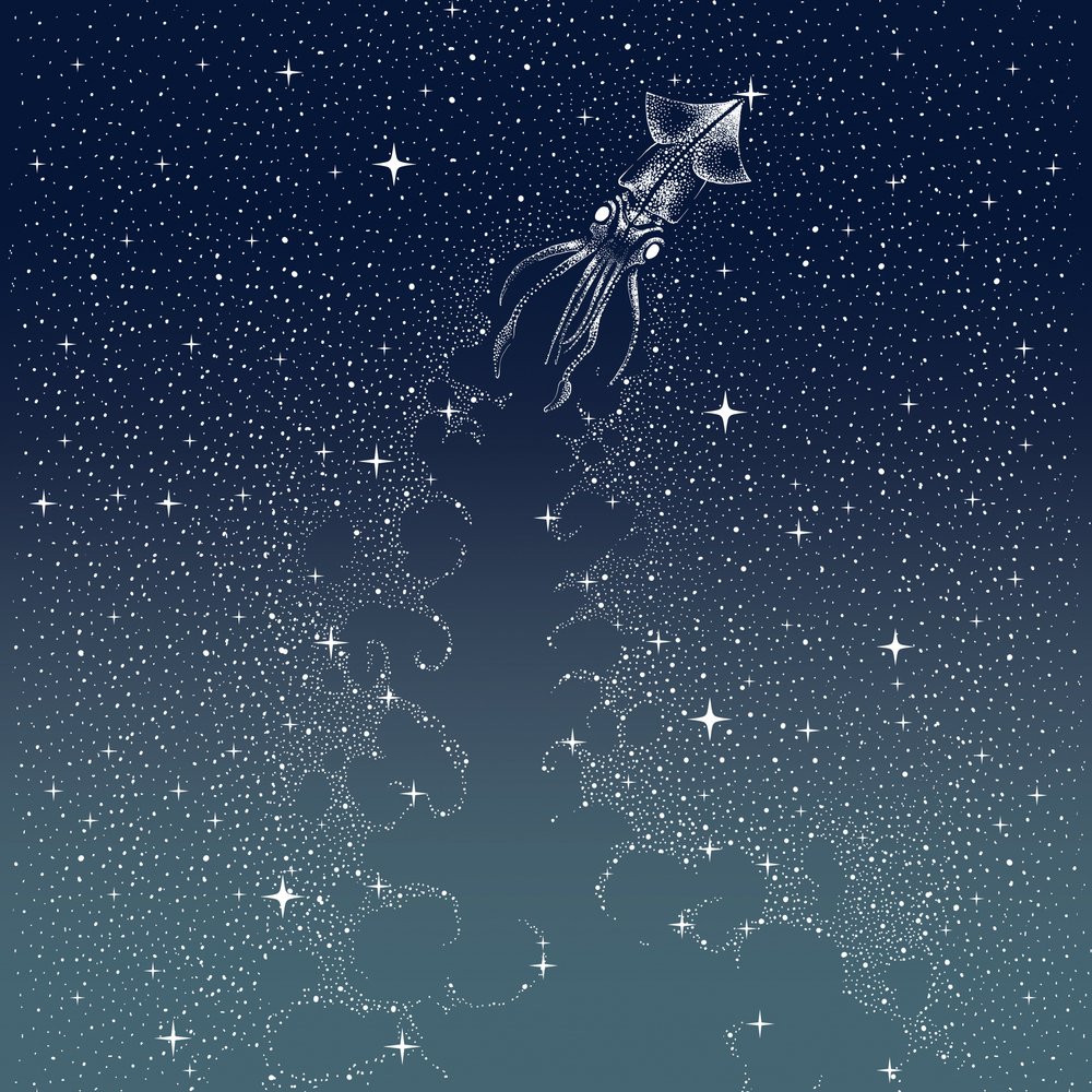 O Voo da Lula Celestial de Alirıza ÇAKIR