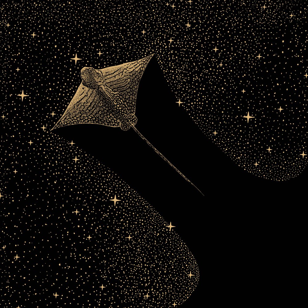 Raia-águia Cósmica de Alirıza ÇAKIR