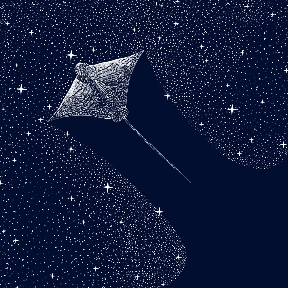 Raia-águia Cósmica de Alirıza ÇAKIR