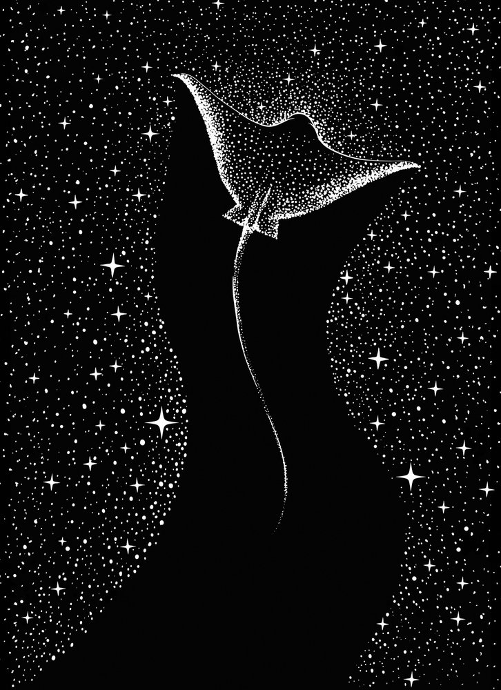 Raia-manta cósmica de Alirıza ÇAKIR