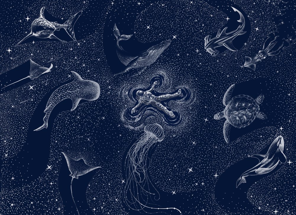 Sonho do Oceano Cósmico de Alirıza ÇAKIR