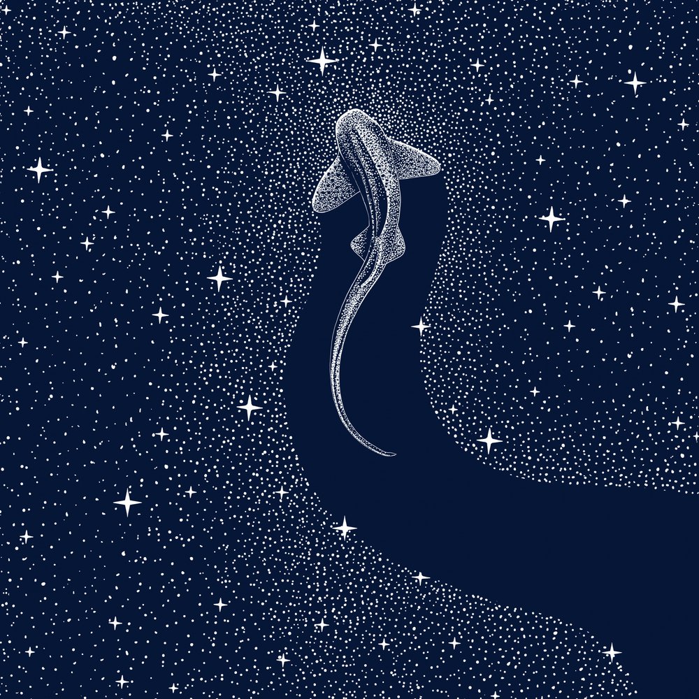 Tubarão Cósmico de Alirıza ÇAKIR