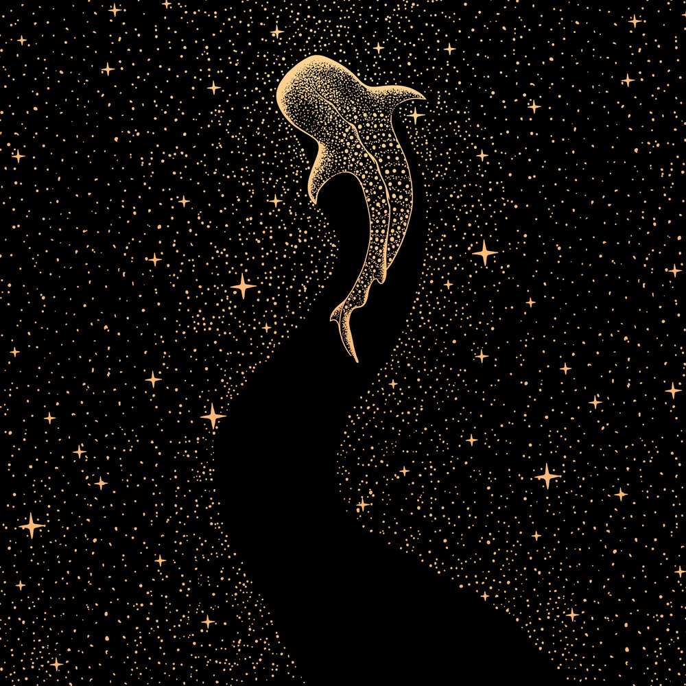 Tubarão-baleia cósmico de Alirıza ÇAKIR