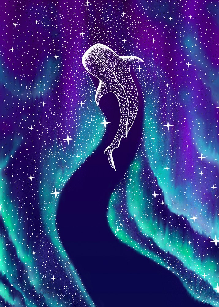 Northern Lights Tubarão-baleia de Alirıza ÇAKIR