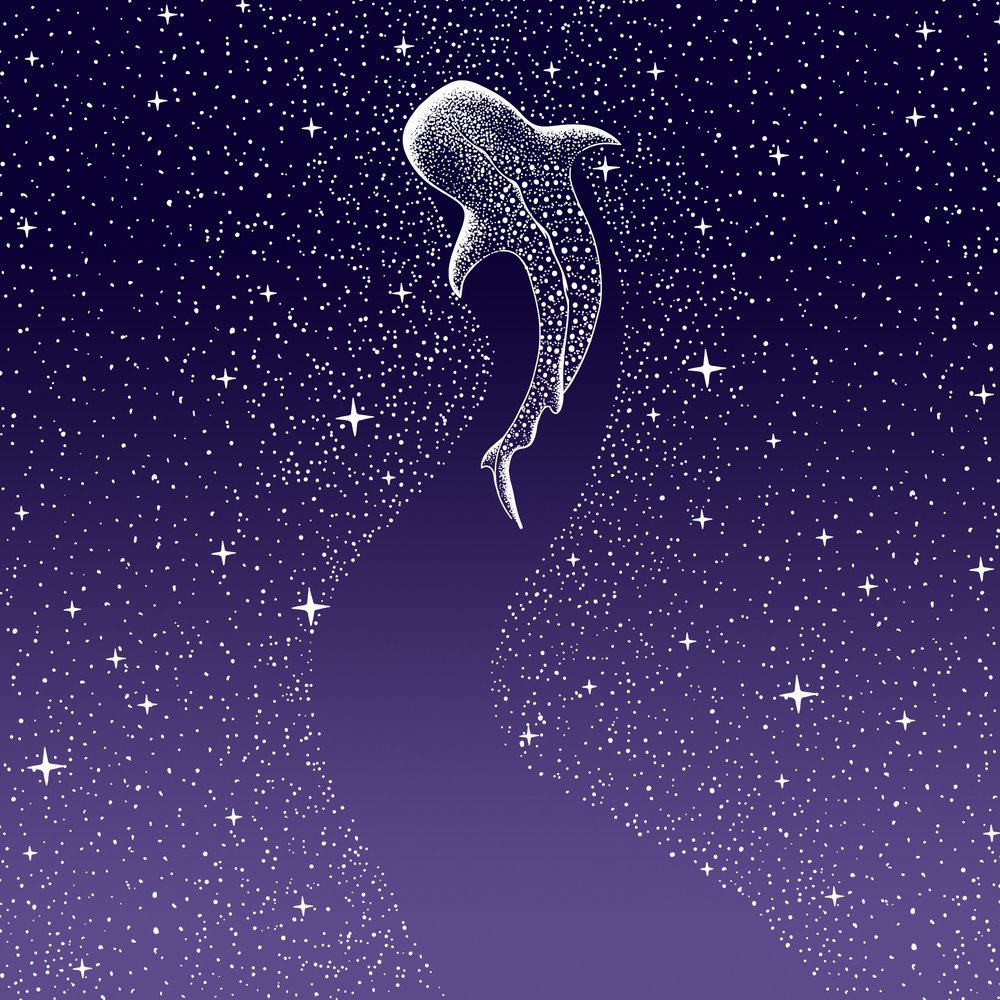 Star Eater: Gradiente de azul escuro a roxo de Alirıza ÇAKIR