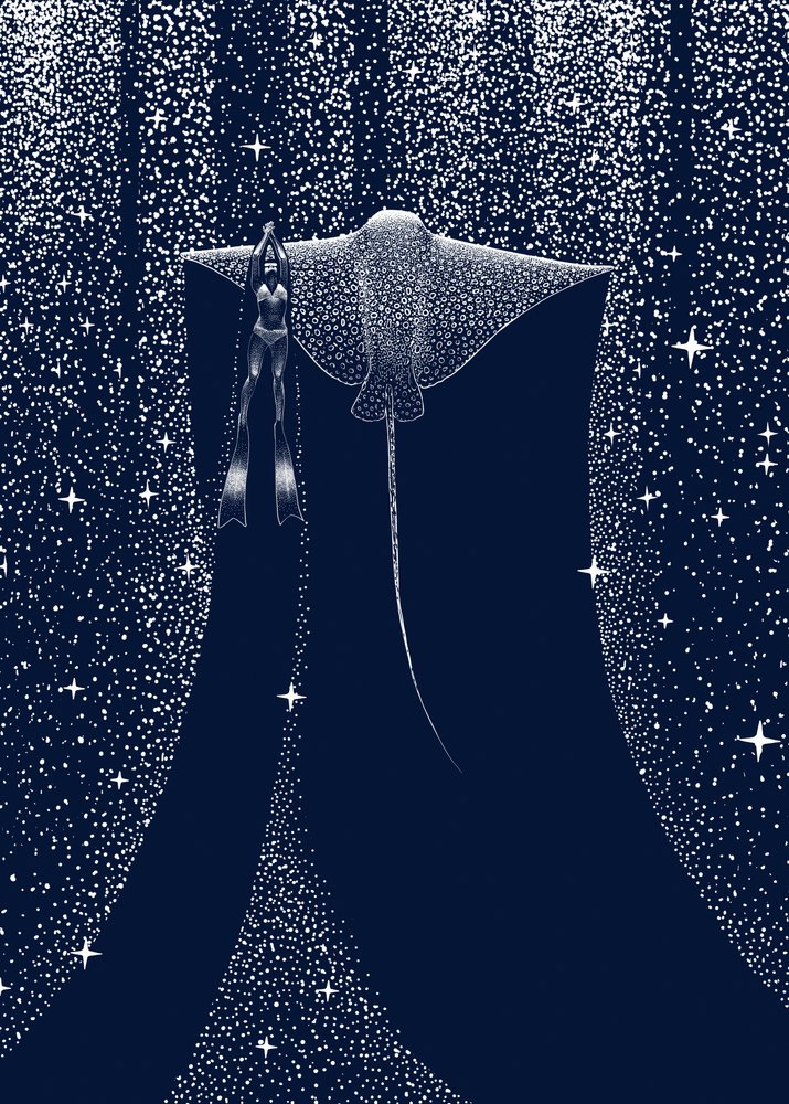 Companheiro do Raio Estrelado de Alirıza ÇAKIR