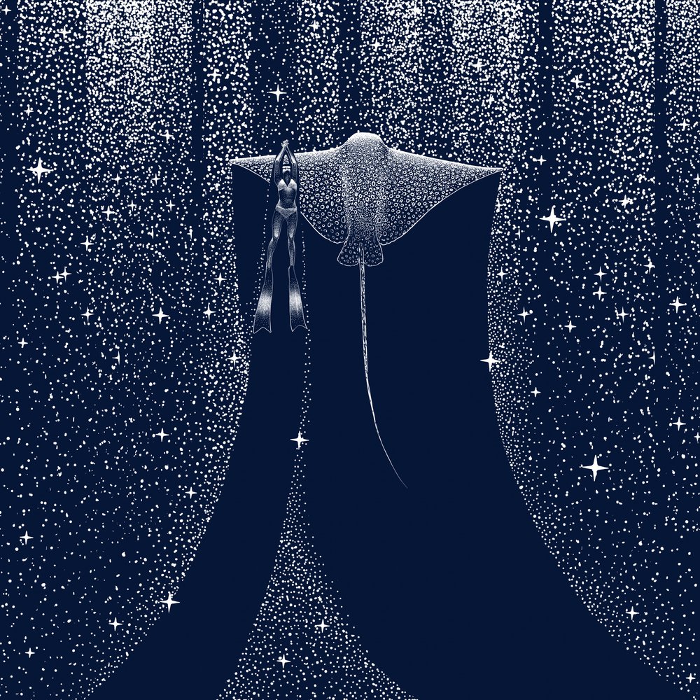 Mergulhador do Starry Ocean de Alirıza ÇAKIR