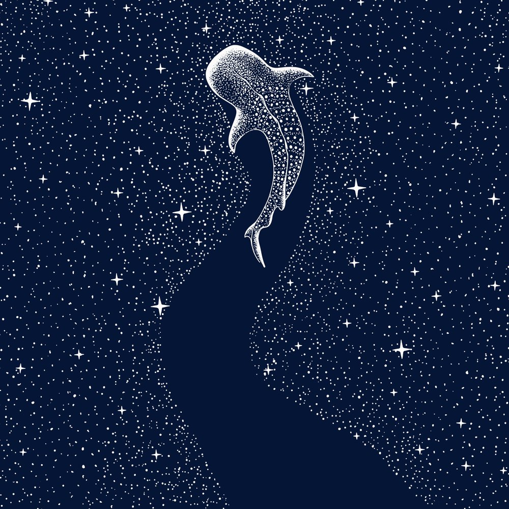 Tubarão-baleia-estrelado de Alirıza ÇAKIR