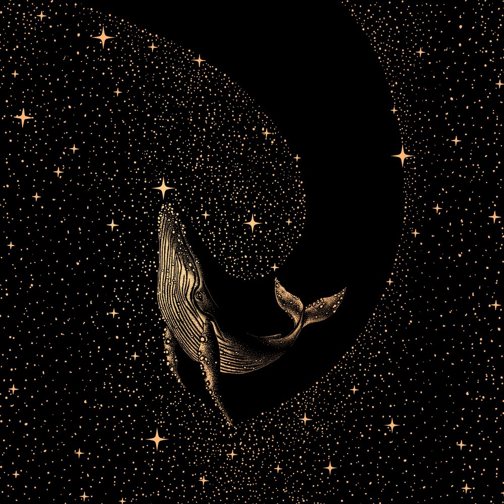 Uma baleia entre as estrelas de Alirıza ÇAKIR