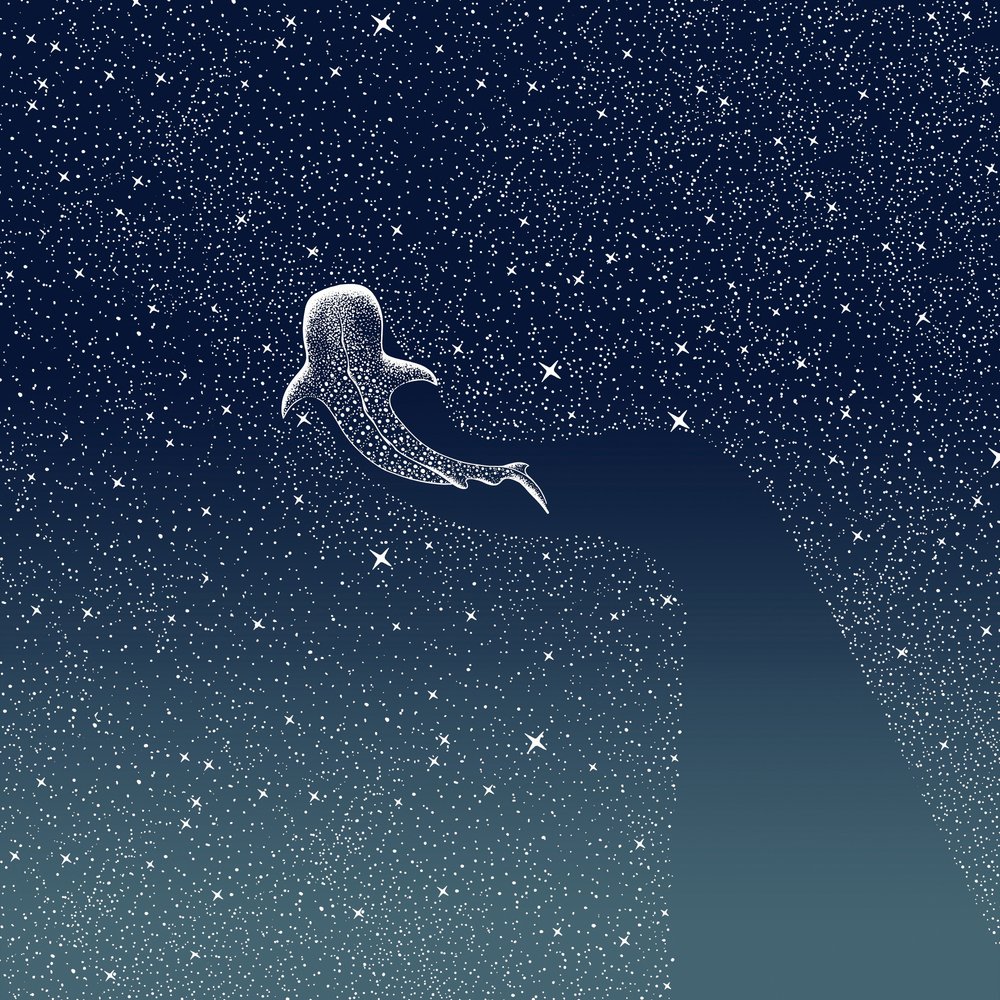 Galáxia do Tubarão-baleia de Alirıza ÇAKIR