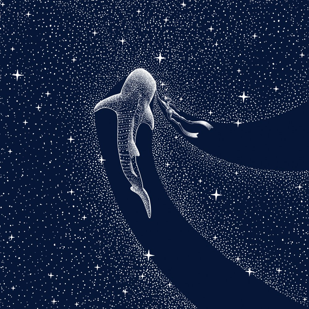 Viagem pela Galáxia do Tubarão-baleia de Alirıza ÇAKIR