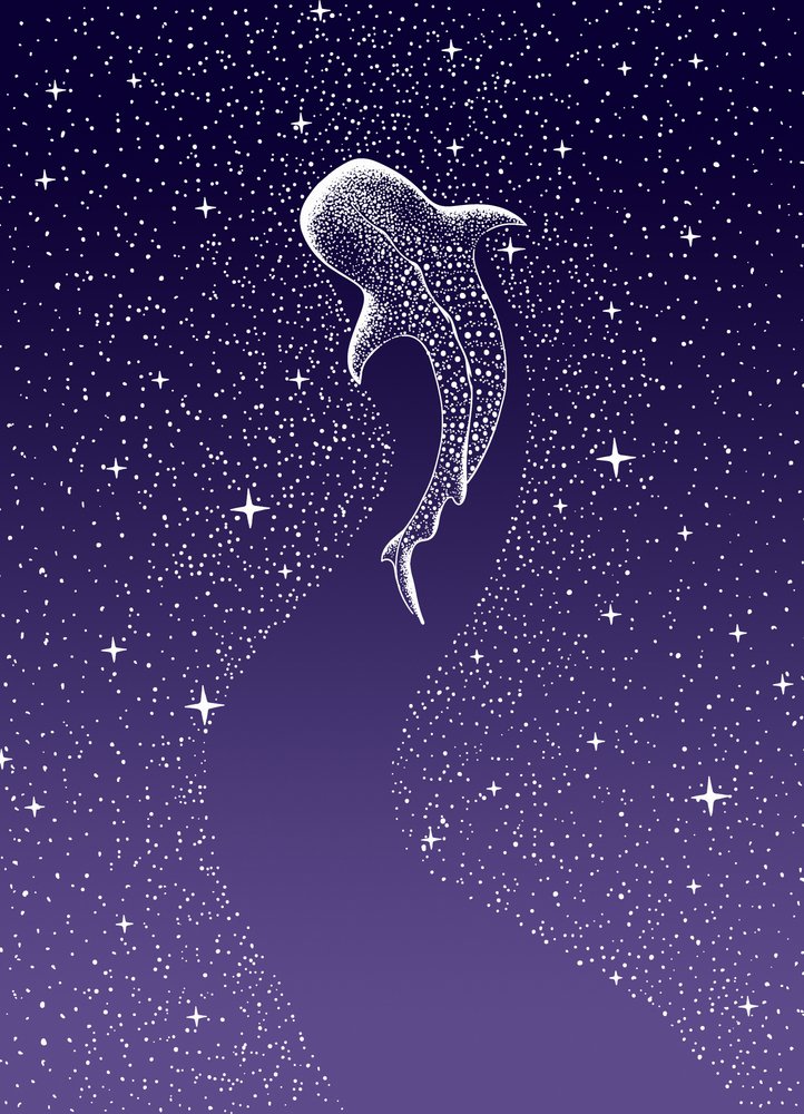 Natação com tubarões-baleia na Galáxia de Alirıza ÇAKIR