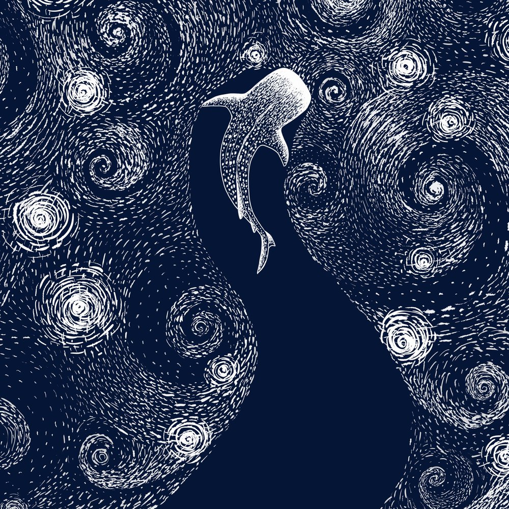 Tubarão-baleia no Oceano Estrelado de Alirıza ÇAKIR