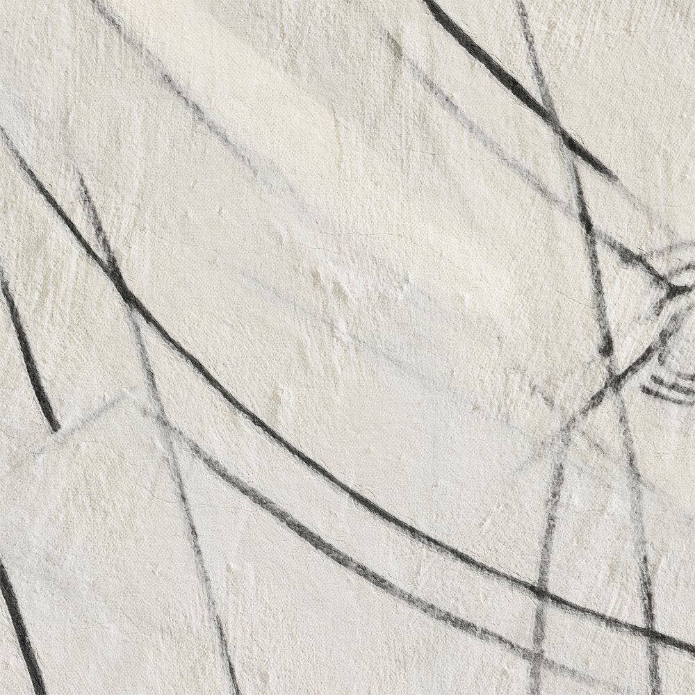 Linhas pretas abstratas de Alma