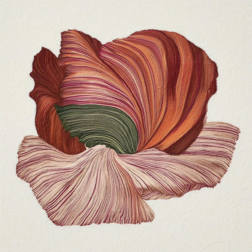 Flores orgânicas coloridas de Alma