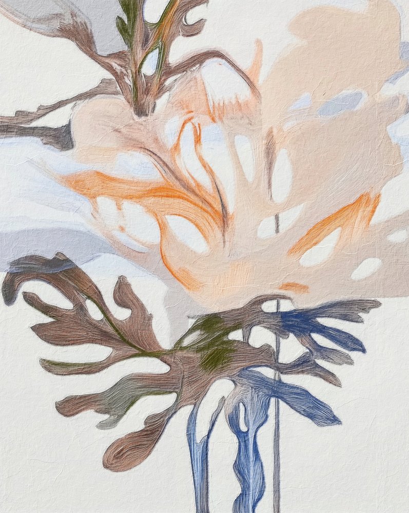 Formas orgânicas suaves de Alma