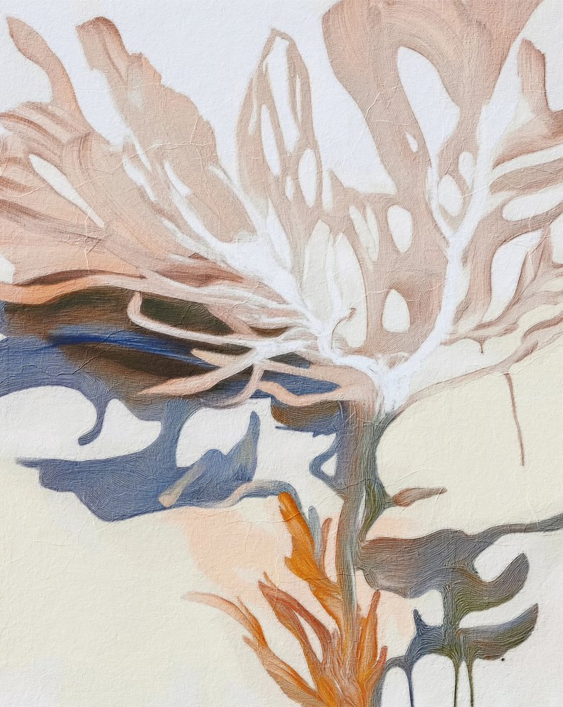 Formas fluidas orgânicas de Alma