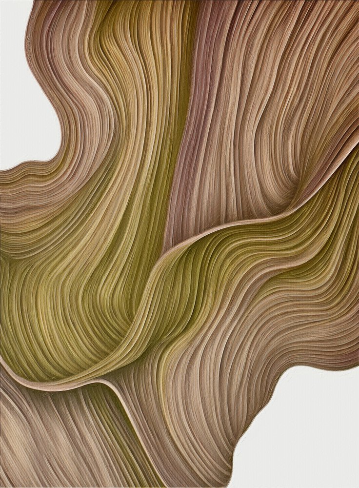 Linhas fluidas e orgânicas de Alma