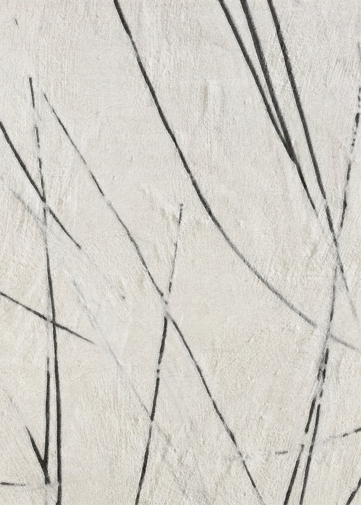 Textura de Linhas Orgânicas de Alma