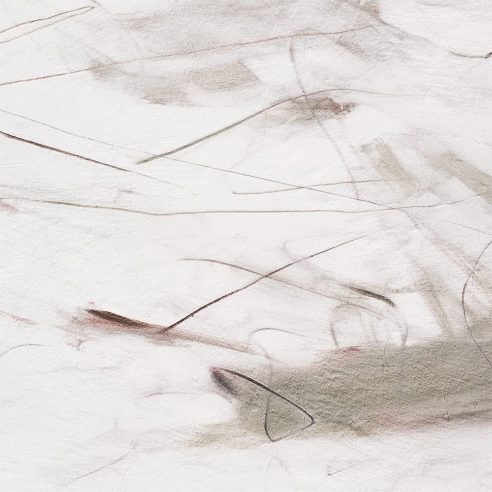 Linhas fluidas e subtis de Alma