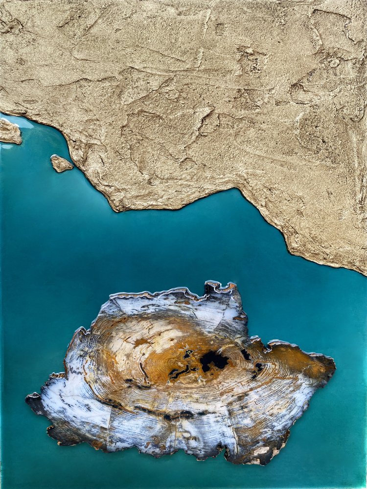 Costa da Ilha Petrificada de Alyson Storms