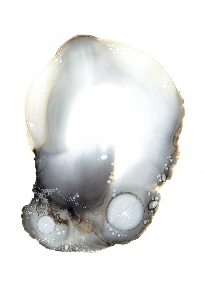 Amostra XI de Amy Louise Baker