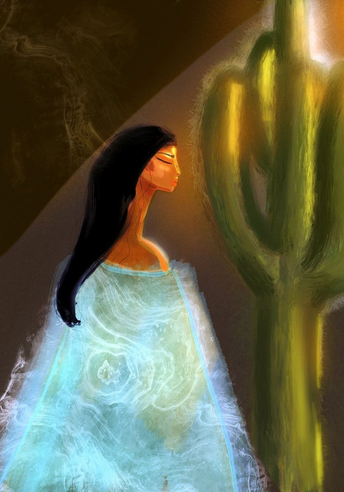 Espírito da Mulher do Deserto de Amy Straley