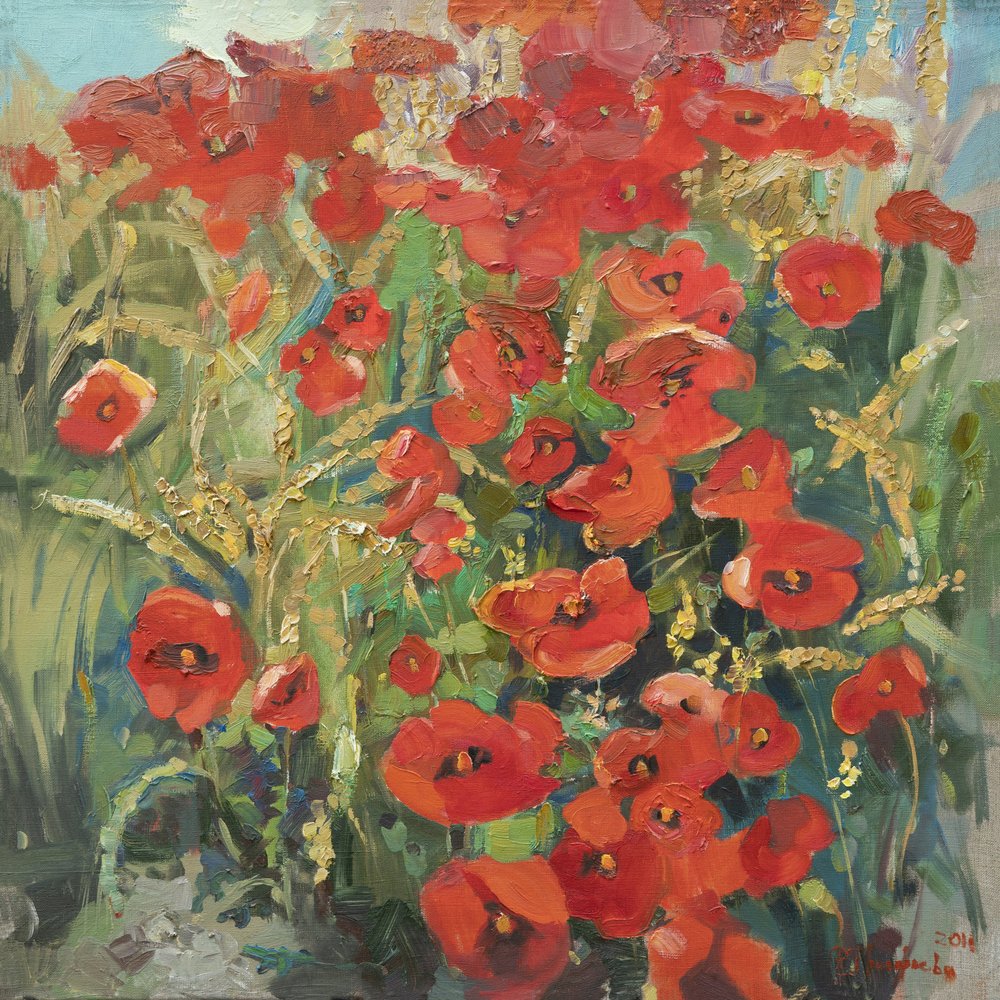 Campo de papoilas no verão de Anastasiia Grygorieva