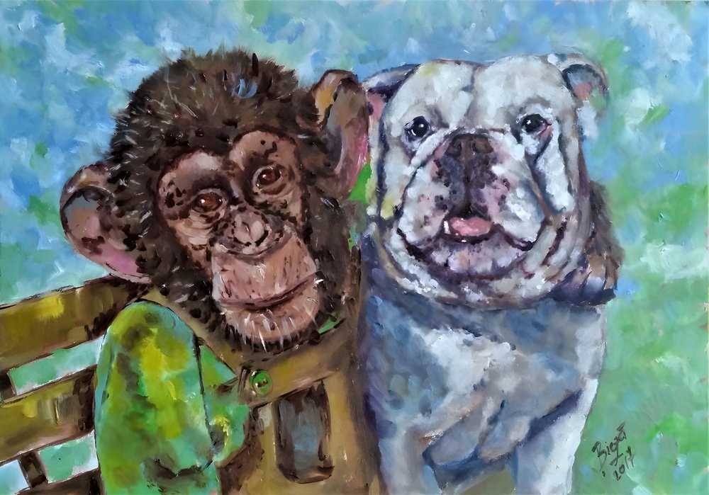 Amigos chimpanzé e bulldog de Anda Bieza