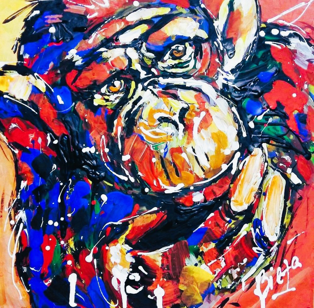 Retrato colorido de um cão de Anda Bieza