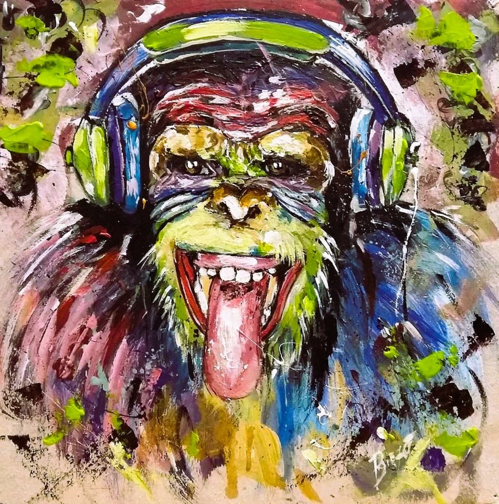 Macaco Colorido da Música de Anda Bieza