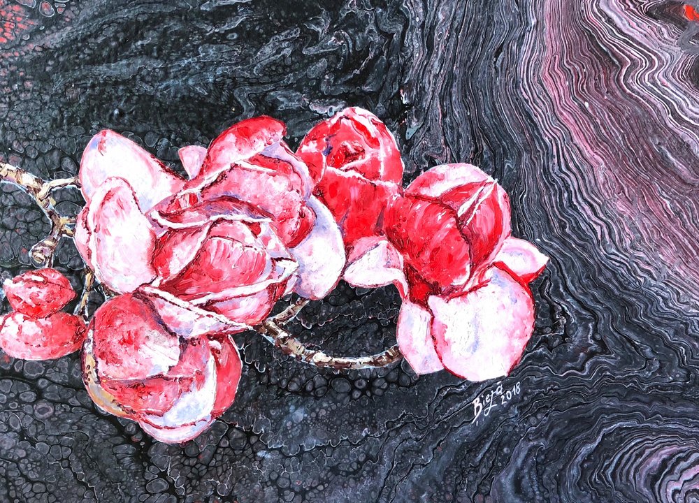 Rosas Vermelhas Espetaculares de Anda Bieza
