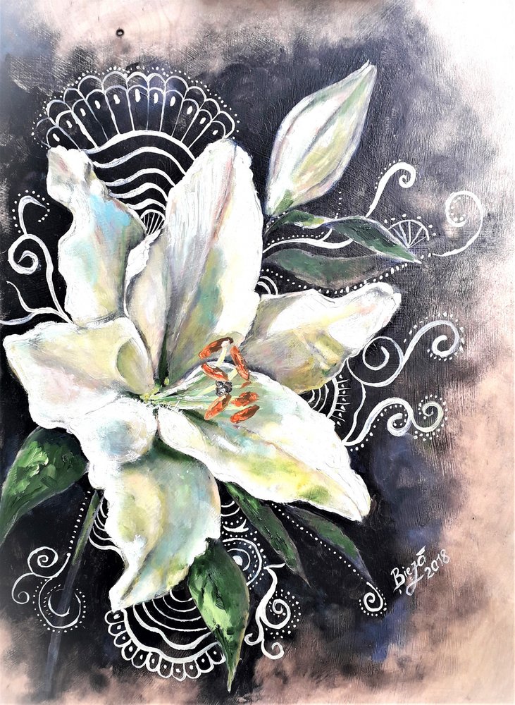 Elegante flor de lírio branco de Anda Bieza