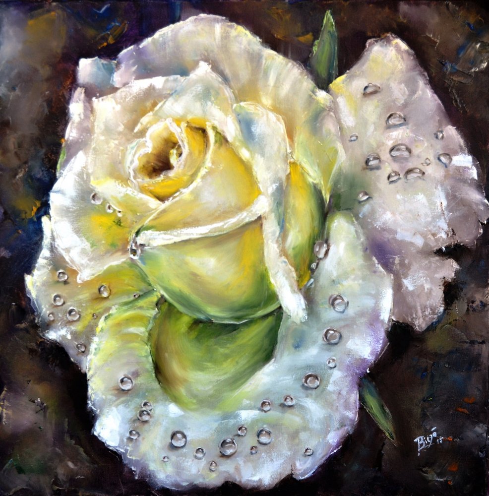 Rosa Fresca e Brilhante de Anda Bieza