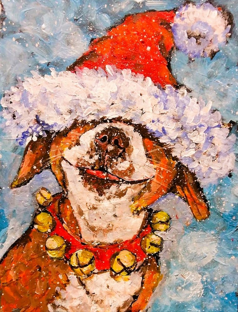 Feliz Natal, Cão de Anda Bieza