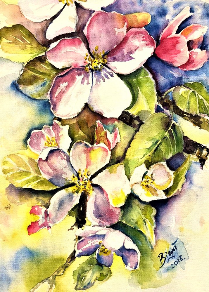 Flores de macieira na primavera de Anda Bieza