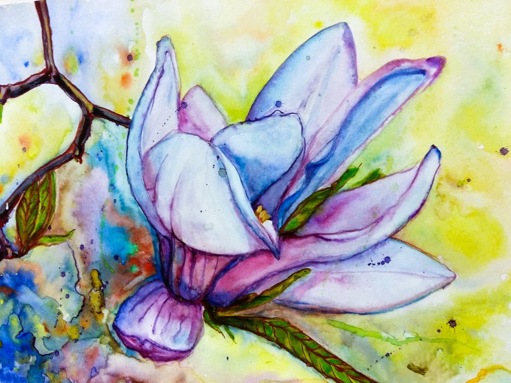 Flor de magnólia vibrante de Anda Bieza
