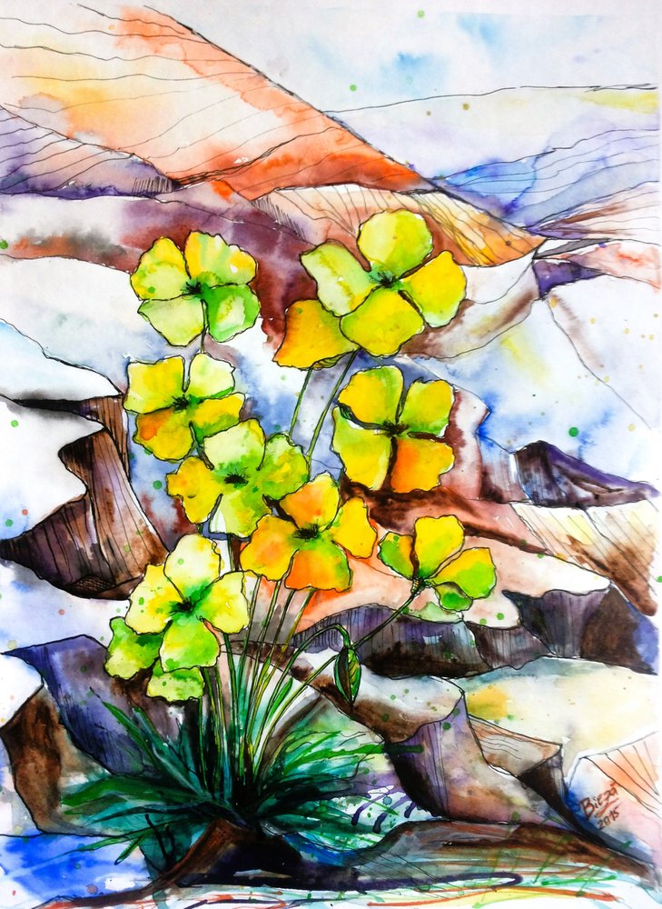 Flores vibrantes da montanha de Anda Bieza