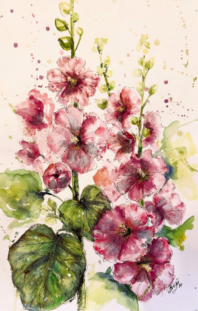 Malvas-rosa vibrantes de Anda Bieza