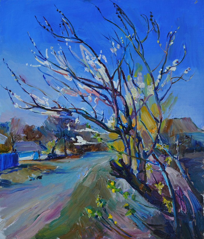 Caminho da Aldeia em Flor de Andrii Kutsachenko