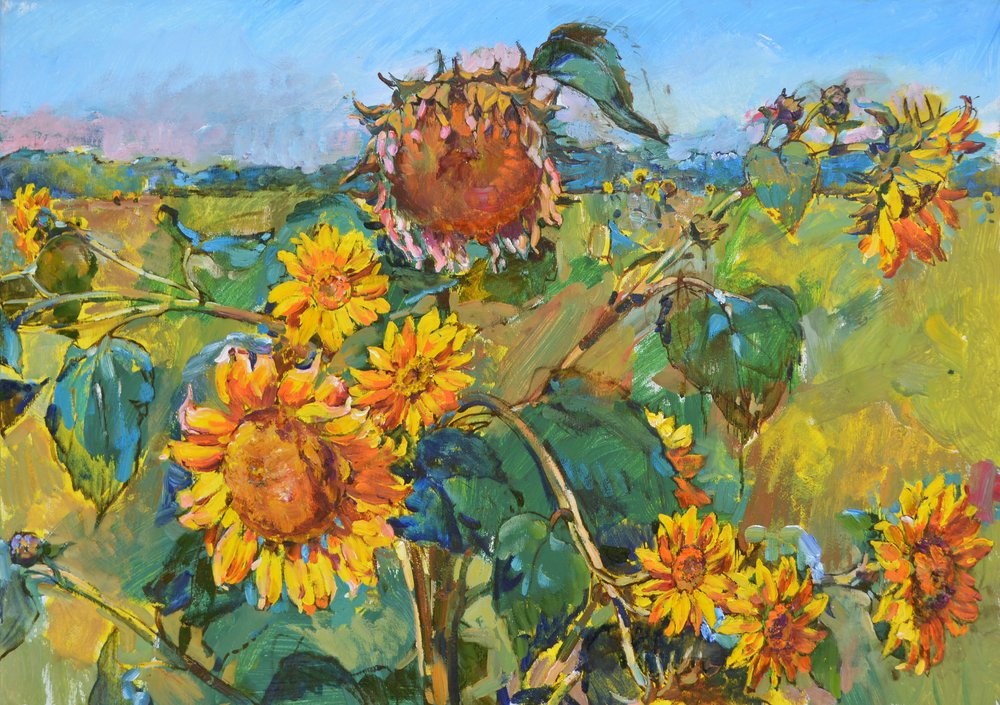 Campo de girassóis dourados de Andrii Kutsachenko