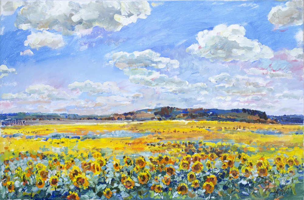 Campo de girassóis banhado pelo sol de Andrii Kutsachenko