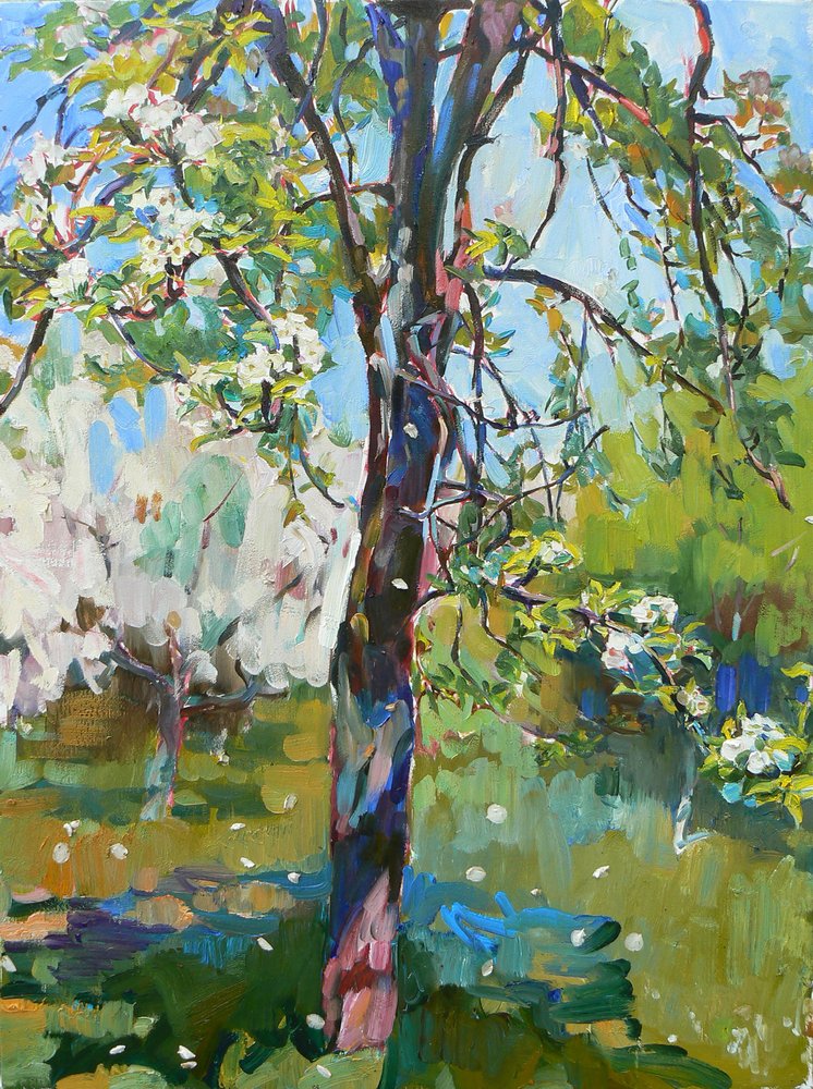  de Andrii Kutsachenko
