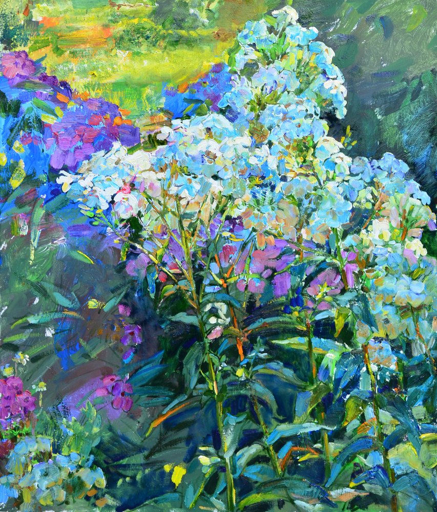 Flox de jardim colorido de Andrii Kutsachenko