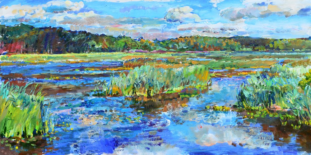Paisagem vibrante de pântanos de Andrii Kutsachenko