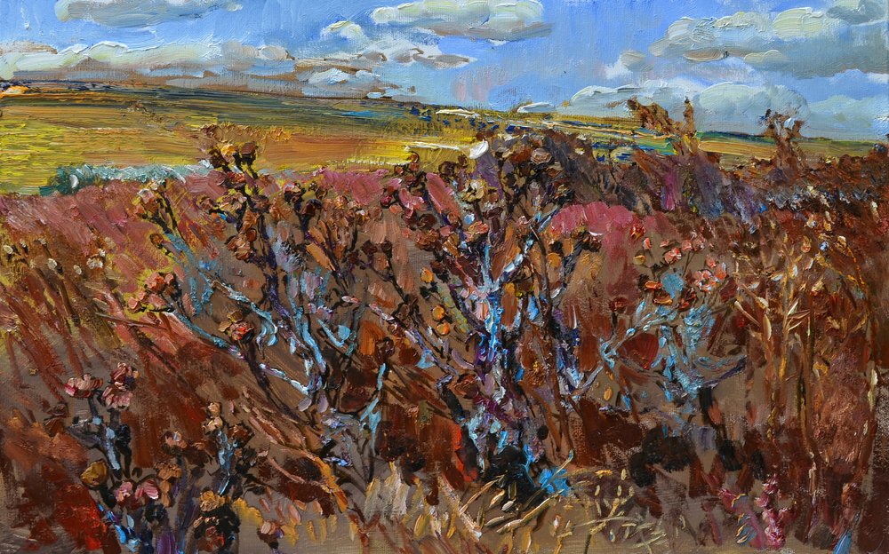 Campo Selvagem de Outono de Andrii Kutsachenko