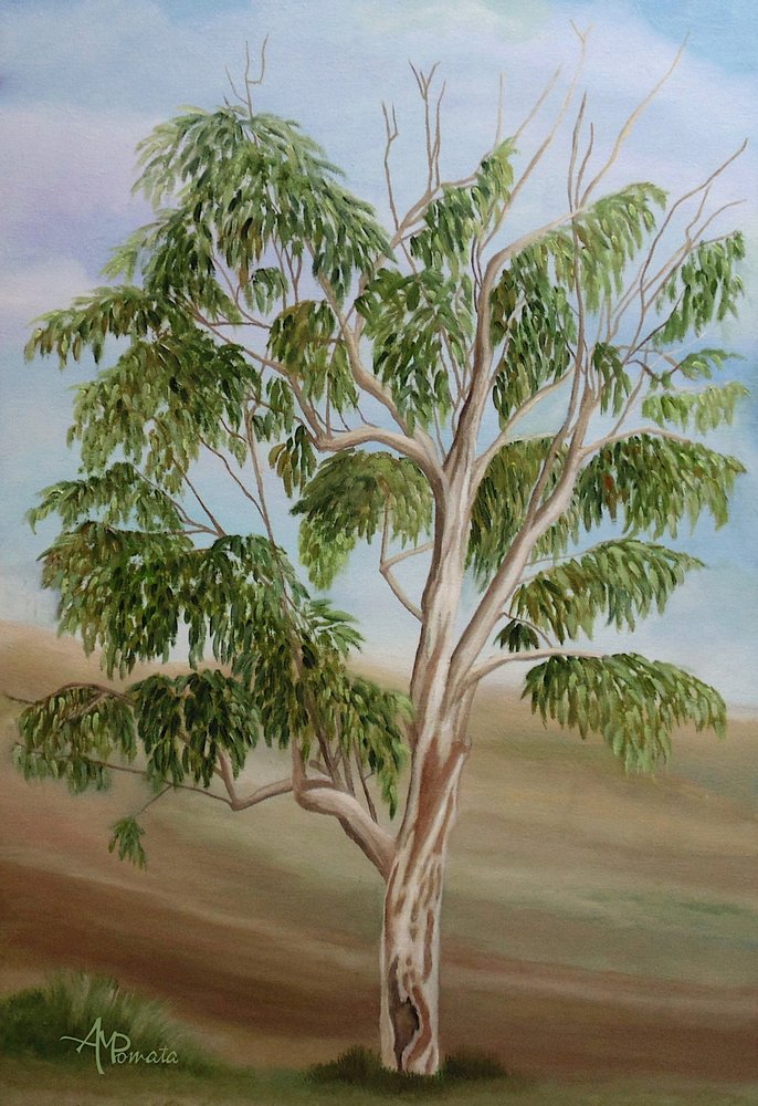  de Angeles M. Pomata