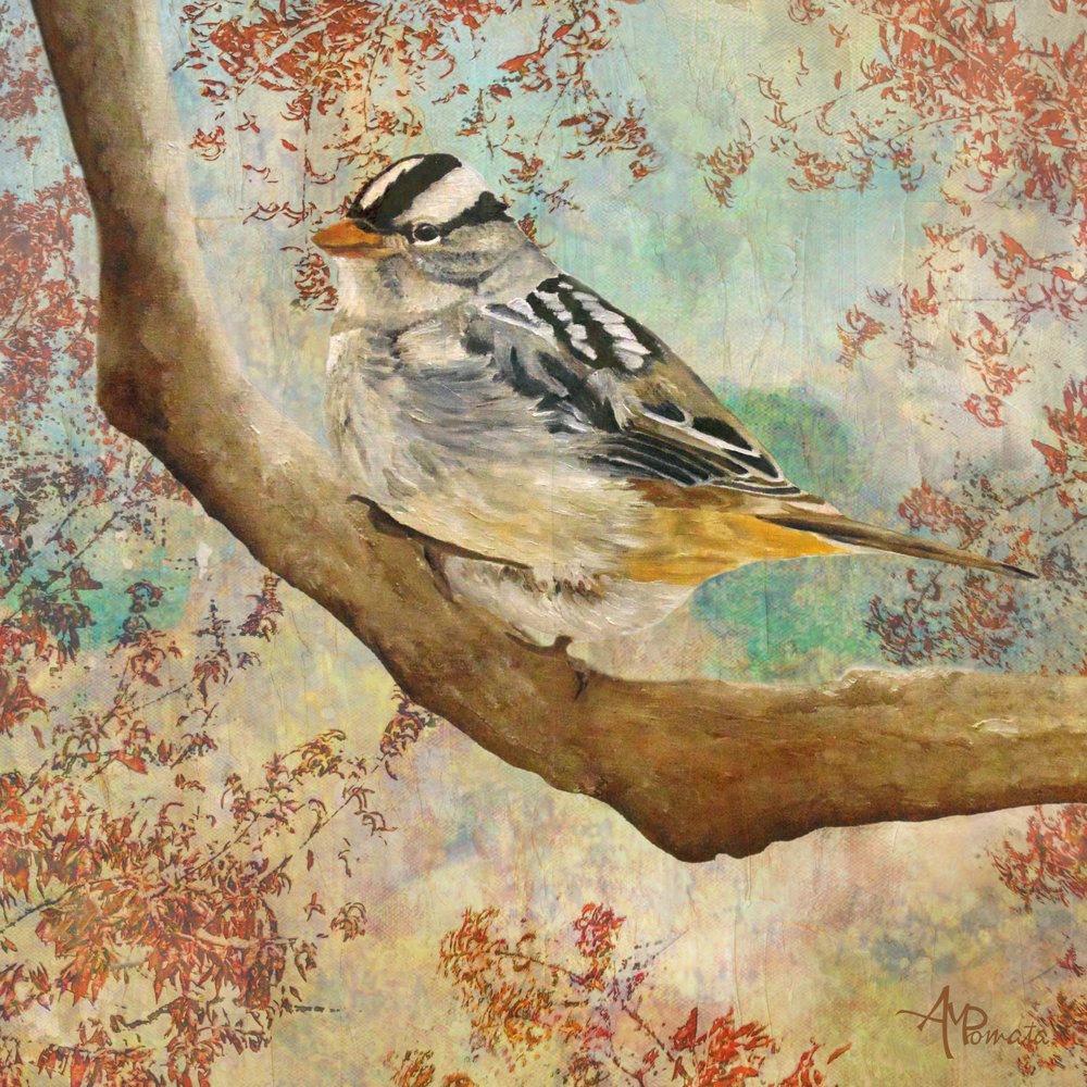  de Angeles M. Pomata