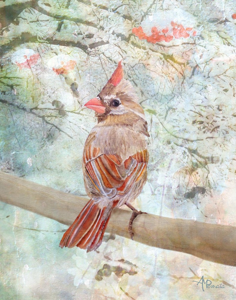  de Angeles M. Pomata